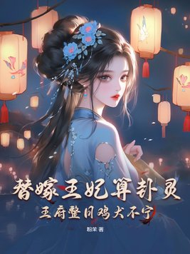 替嫁王妃免费阅读全文月落